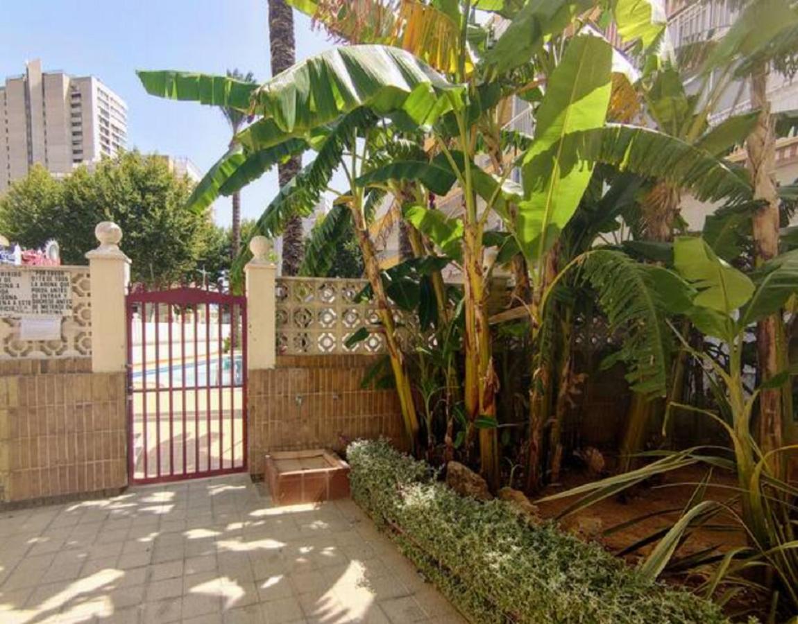 Benidorm Rocas One, Un Oasis A 100 Metros Del Marアパートメント エクステリア 写真